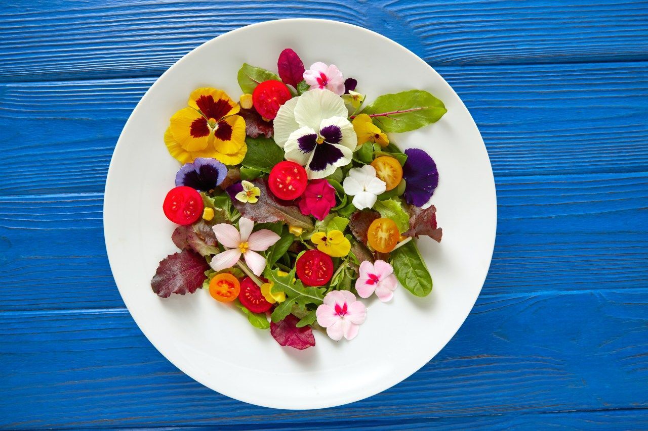 receitas com flores comestíveis