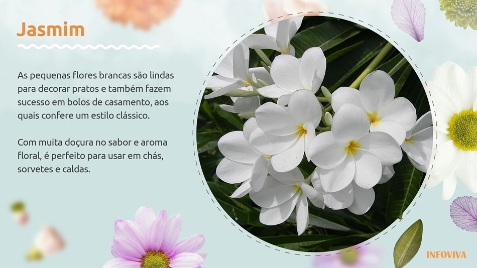 identificação de flores comestíveis