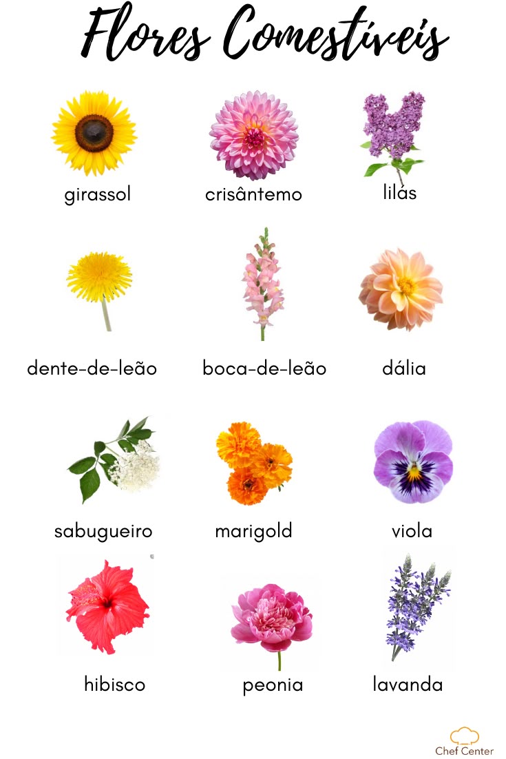 tipos de flores comestíveis