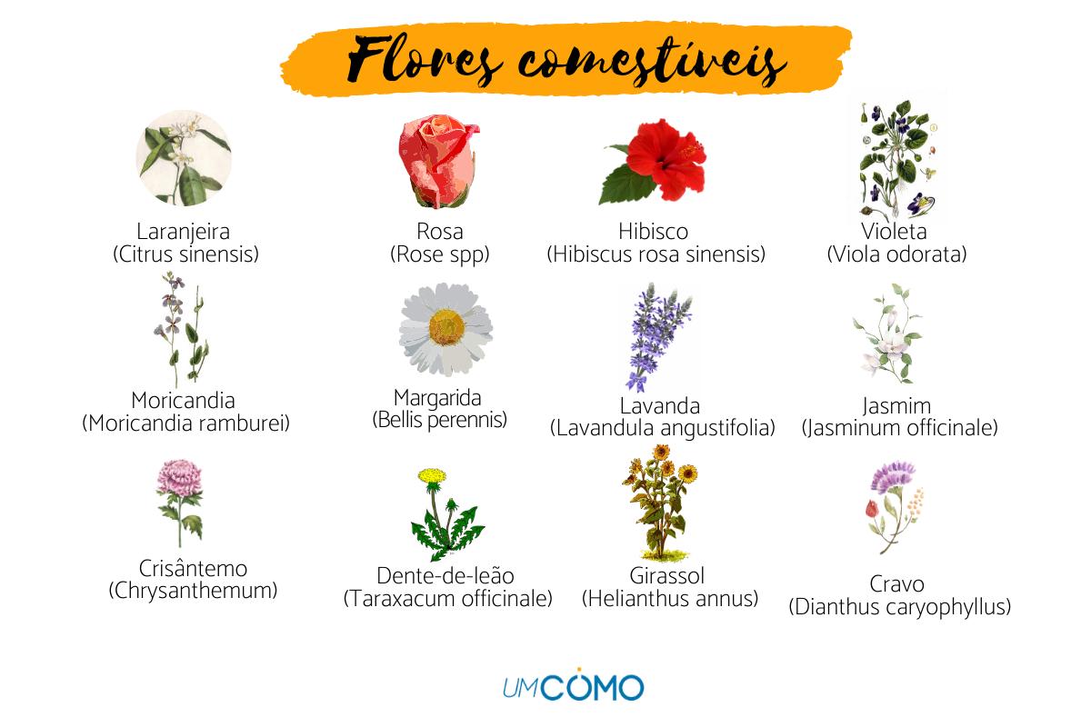 como usar flores na culinária