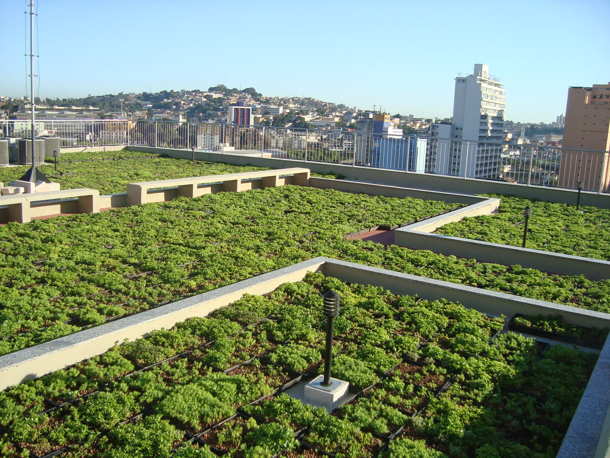 cobertura verde urbana