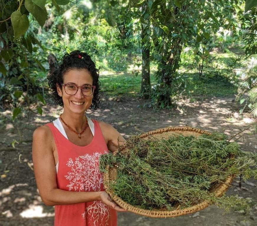 Espécies de Artemisia