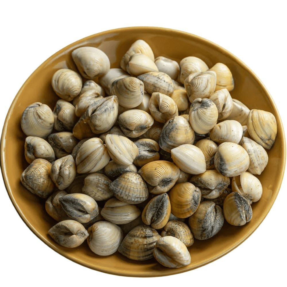 vongole vs mexilhão