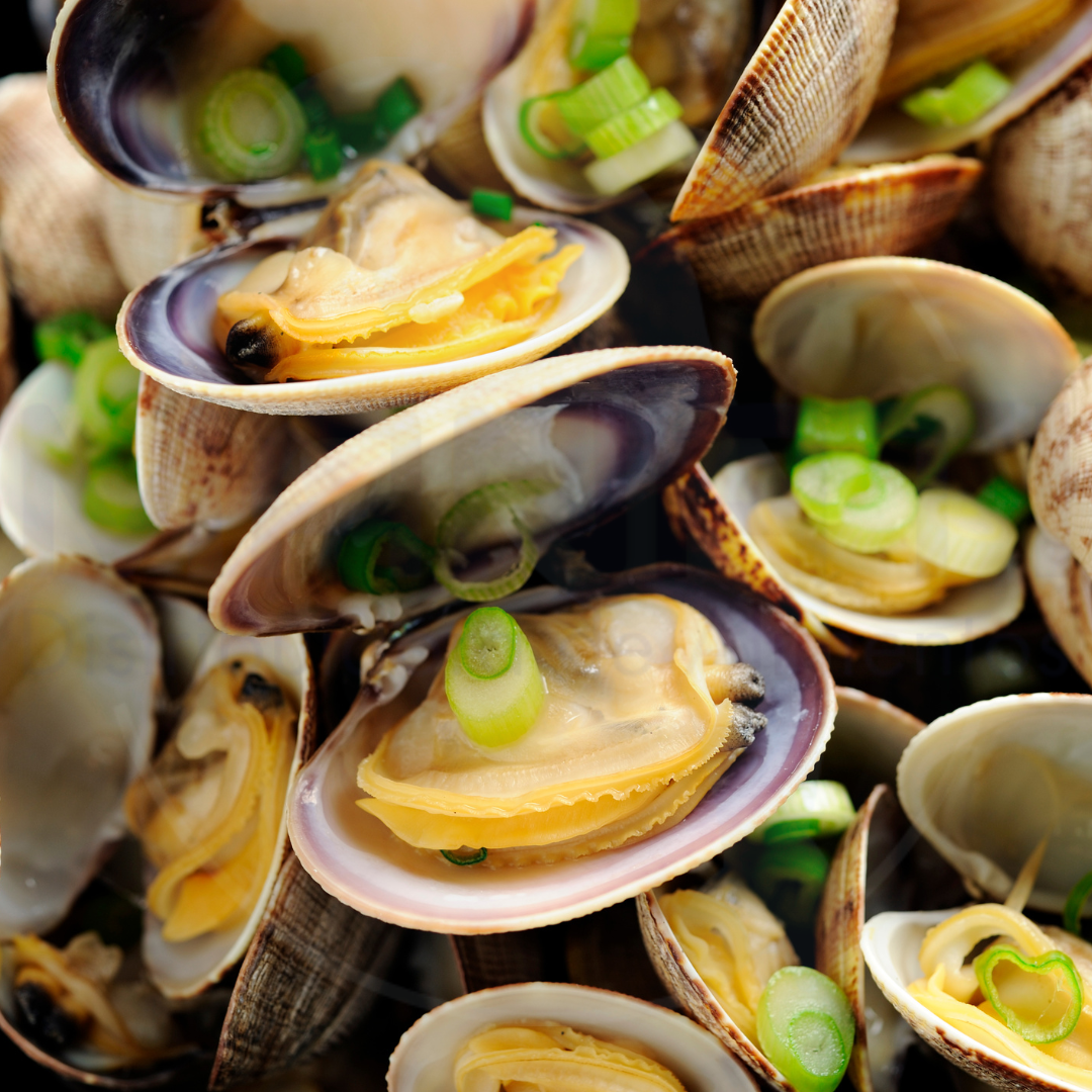 berbigão é vongole